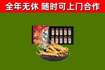 九寨沟县烟酒回收冬虫夏草礼盒.jpg